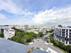 Sims Urban Oasis (D14), Condominium #580255581
